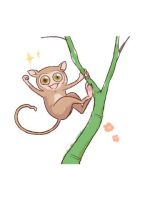 【アニマル診断…