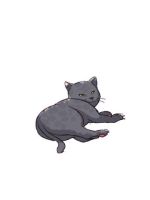 【アニマル診断…