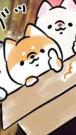 本日は低め✨