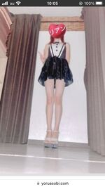 正統派セラピス…