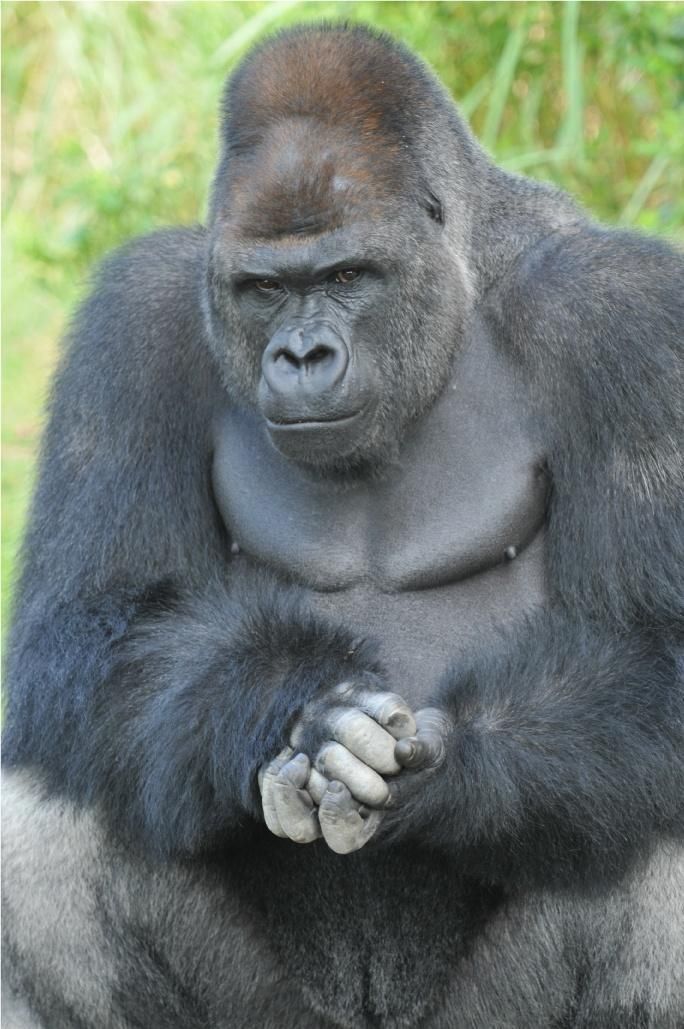 出勤ウホ