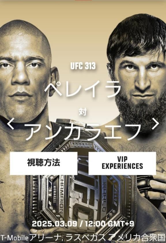 UFC313。