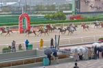 君の愛馬が！！…