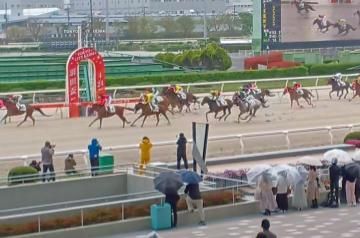 君の愛馬が!!!!!