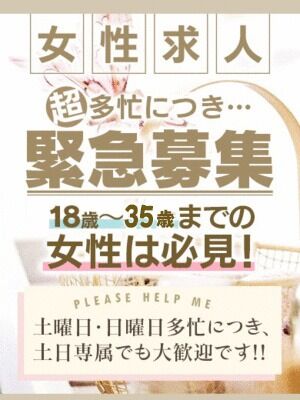 ✴︎急募・人材求む✴︎