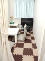 NEW!!I[vVXňꏏɓ܂񂩁