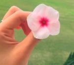 ߂̓j