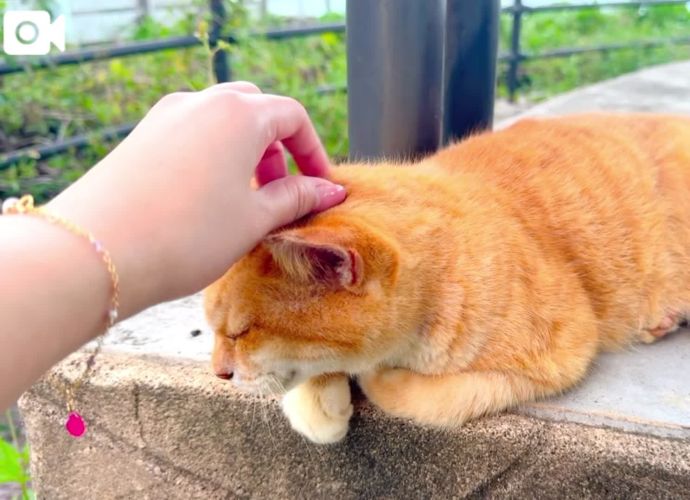 海辺のお友達