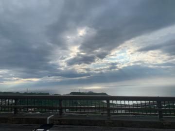 今日も