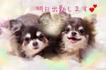 明日も出勤しま…