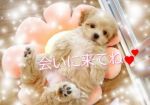明日♪初！