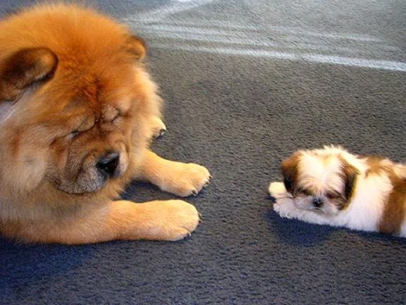 出勤しました♪