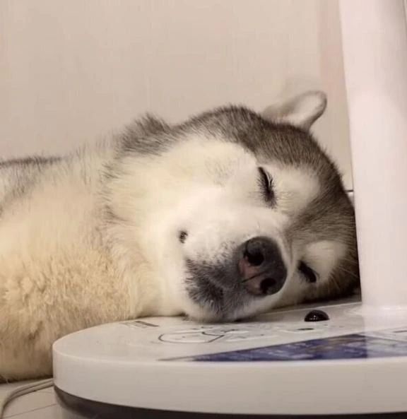 出勤しました➰