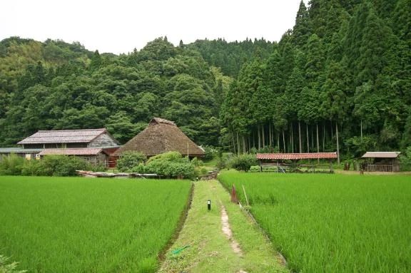出勤しましたー。