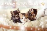 終わり♪