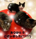 ありがとうござ…