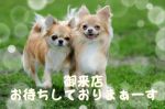 出勤しました！