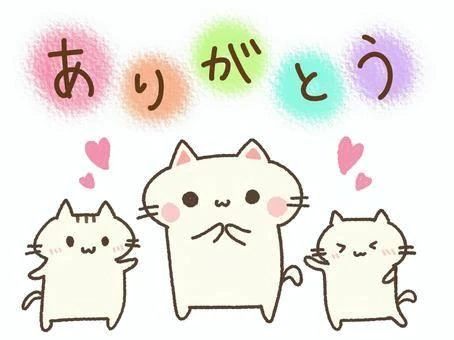 ありがとうございました♪