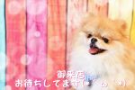 出勤しましたぁ♪