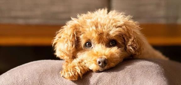 １１時に出勤します！