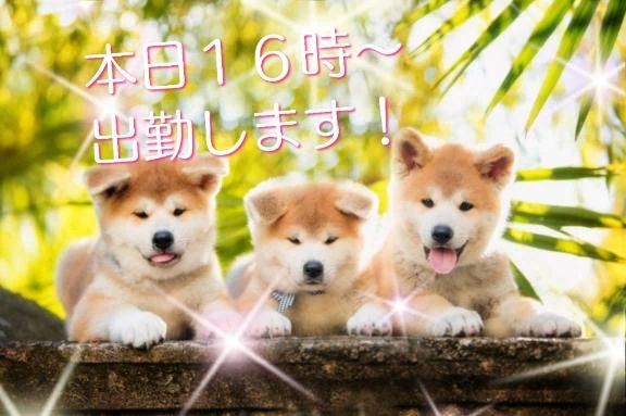 本日１６時➰出勤します！