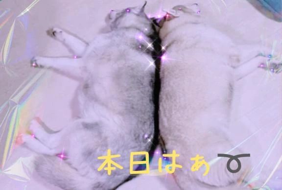 ムラムラします