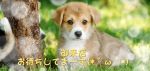 こんにちは