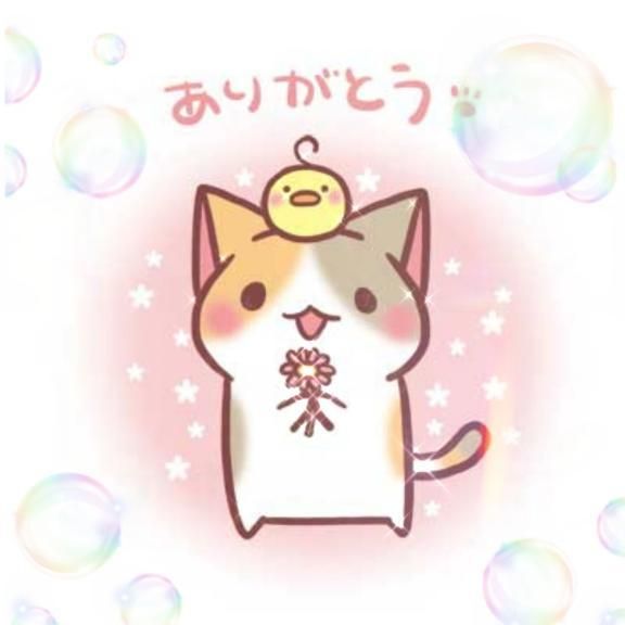 ありがとうございました♪