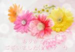 ありがとうござ…