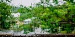 梅雨入り～☔
