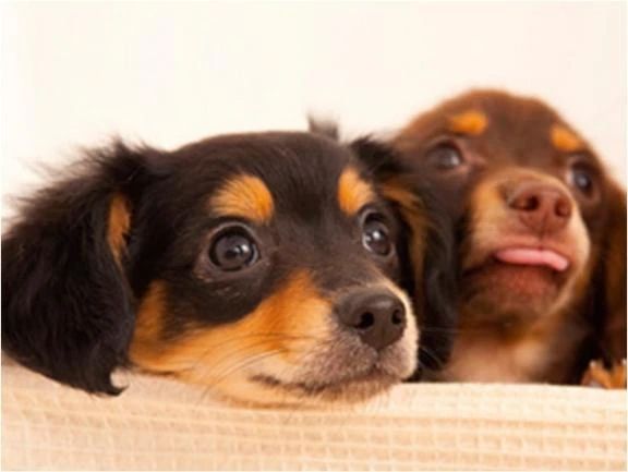 出勤しました♪