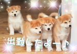 こんにちは