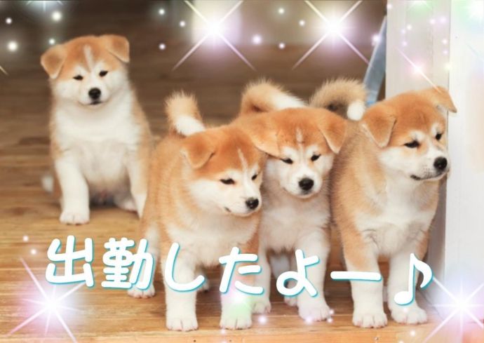 こんにちは