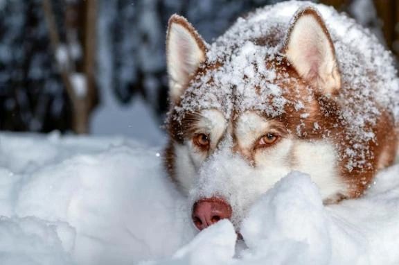 出勤しました♪