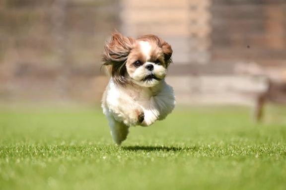 17時～出勤しまーす