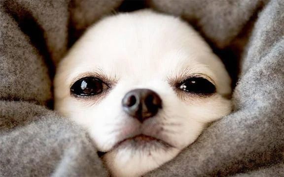 出勤しました♪