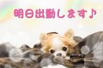 明日出勤します♪