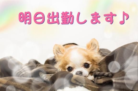 明日出勤します♪