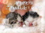 お礼♪