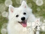こんにちは♪