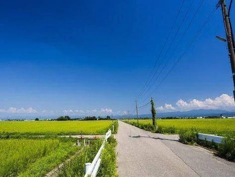 出勤しました。