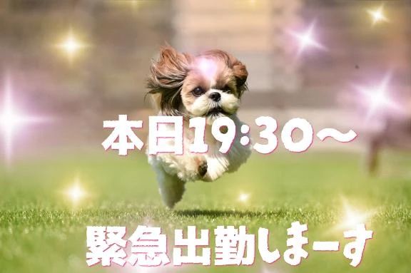 本日出勤します！