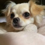 出勤しましたー