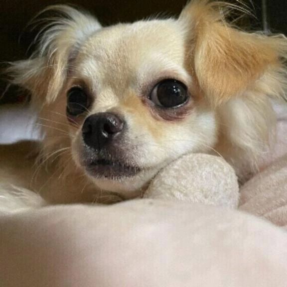 出勤しましたー