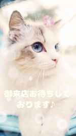 こんにちは