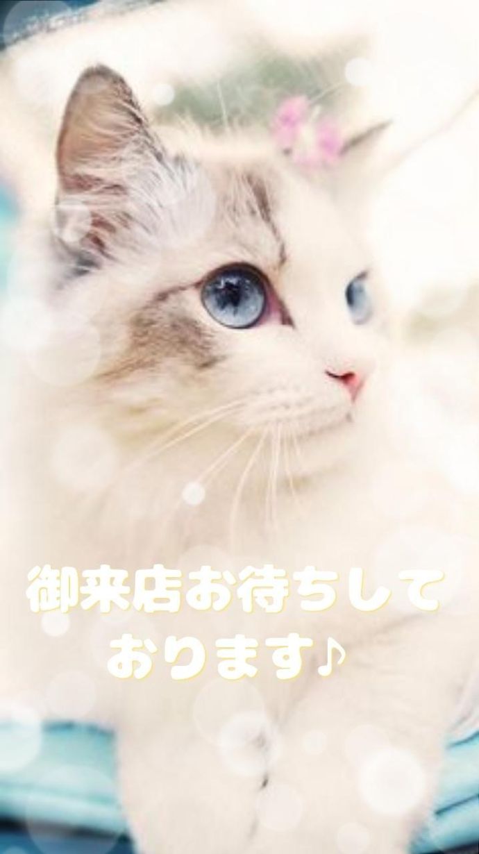 こんにちは