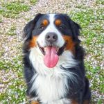 �o�΂��܂�����