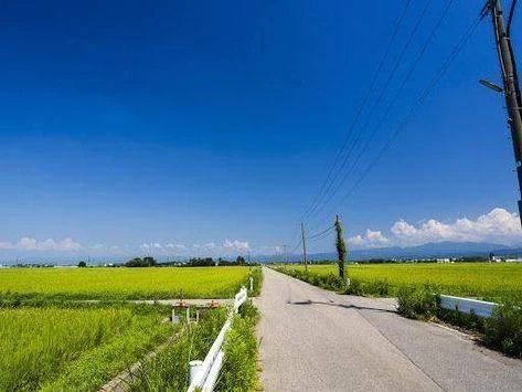 出勤しましたー♪