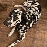 �o�΂��܂�����