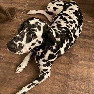 出勤しました♪